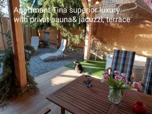 Ivančna GoricaHiša Ida的坐在院子桌子旁的猫