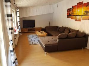 RumbachZur alten Wagnerei的带沙发和平面电视的客厅