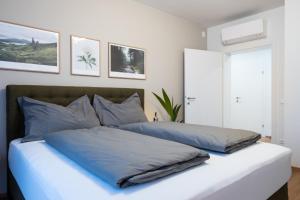 格拉茨MH Living - 39 - Scandinavian Living Dream in Center的卧室配有2个蓝色枕头