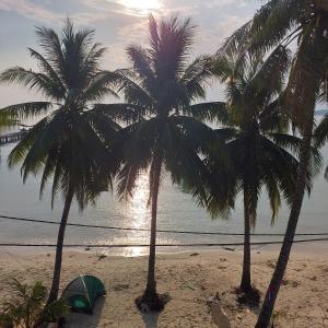 瓜隆岛ISLANDS BOUTIQUE Koh Rong的两棵棕榈树和海滩上的帐篷