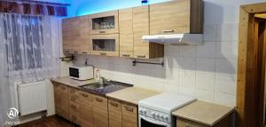 斯维塔维Penzion Svitavy的厨房配有木制橱柜、水槽和微波炉