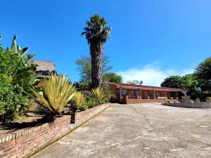 巴德普拉斯Mumo Resort的前面有棕榈树的房子