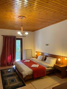 PlanitéronMountain Hotels "Aroanides"的一间卧室配有一张带红色毯子的床