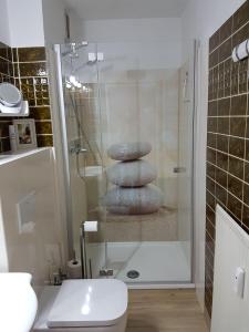 圣安德里斯伯格Dat-Harzchen-mit-Garage-und-WLAN的带淋浴、卫生间和毛巾的浴室