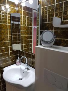 圣安德里斯伯格Dat-Harzchen-mit-Garage-und-WLAN的浴室配有白色水槽和卫生间。