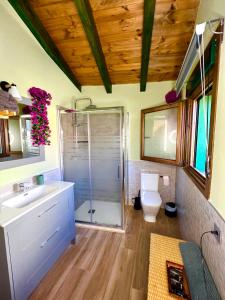 夸科斯德尤斯特Casa Rural Juan de Austria的带淋浴、卫生间和盥洗盆的浴室