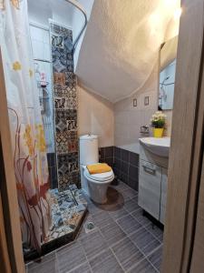 卡尼奥提Purple_Rose_Apartment的浴室配有卫生间、淋浴和盥洗盆。