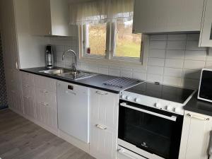 巴斯塔德Cottage Båstad/Bjäre的厨房配有白色橱柜、水槽和炉灶。