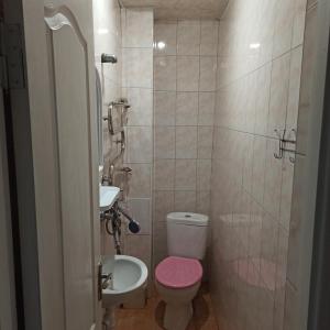 特鲁斯卡韦茨Готель-хостел的一间带粉红色卫生间和盥洗盆的浴室