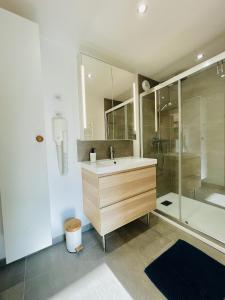 维泰勒Residence Louis Quartier Casino的一间带水槽和淋浴的浴室
