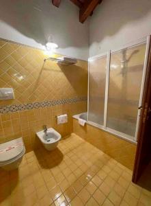 斯特拉Bed and Breakfast Ca’ Pisani的一间带卫生间和淋浴的浴室