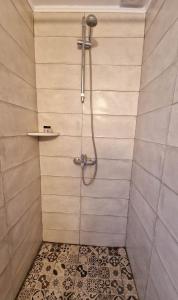 埃尔莫波利斯Casa di Syrii的一间带淋浴的浴室和瓷砖墙