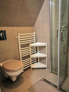 弗罗茨瓦夫Hostel 55 - darmowy parking的一间带卫生间和淋浴的浴室