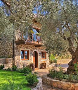 巴尔OLIVE QUEEN Rustic Villa的带阳台和树的石头房子