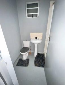 约翰内斯堡Posh Apartment next to Maboneng的一间带卫生间和水槽的小浴室