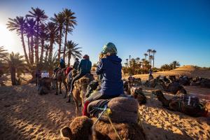 姆哈米德Mhamid Sahara Camp - Mhamid El Ghizlane的一群人在海滩上骑骆驼