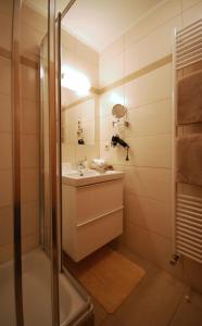 萨尔巴赫Appartementhaus Daniel的带淋浴和盥洗盆的浴室