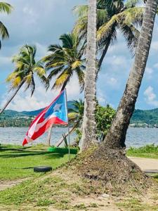 Punta SantiagoOcean Breeze的棕榈树旁海滩上的旗帜