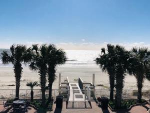 默特尔比奇Pristine Condo Glorious Ocean View HS 11th Floor的享有棕榈树海滩和大海的景色
