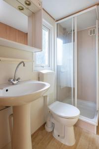 米茨兰Heidehut的一间带水槽、卫生间和淋浴的浴室