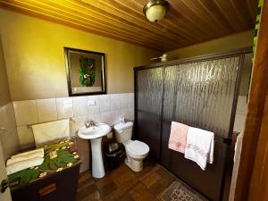 TamborCabaña en Alajuela en lugar tranquilo y con mucha naturaleza.的一间带卫生间和水槽的浴室