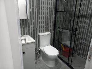 伊斯坦布尔*Новая квартира 1+1 Mecidiyeköy的一间带卫生间和水槽的小浴室