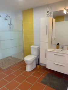 波尔兰特Duplex Rose Porcelaine - Vue Mer- Malendure的一间带卫生间和水槽的浴室