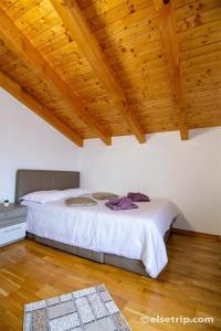 博尔沙PENSIUNEA HANTIG TURA的一间卧室设有一张木天花板床。