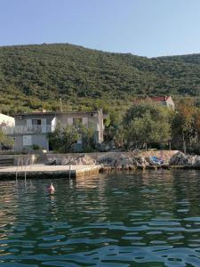 普特尼科维奇Beach apartments Seahorse and Seastar, Pelješac peninsula的水体岸边的房子