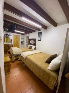 瓜纳华托Hotel Magdalena Colonial的一间带两张床的卧室和一间厨房