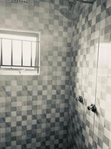 恩多拉Hibiscus Apartments的一间带瓷砖淋浴和窗户的浴室