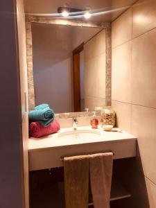 阿瓜德奥罗La Pasionaria Casa de Campo的浴室配有带镜子的盥洗盆和毛巾