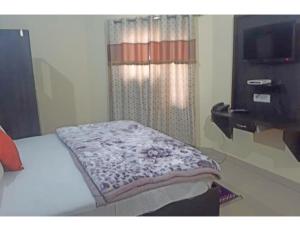 阿姆利则Hotel Kailash, Amritsar的一间卧室配有一张床,并在一间客房内配有电视。