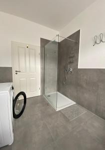 科布伦茨PnT home-stilvolles Apartment的带淋浴的浴室和玻璃门