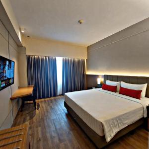 北干巴鲁格兰德兹瑞皮卡巴鲁酒店的酒店客房设有一张大床和一台电视。