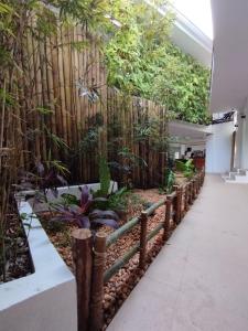 邦劳Villa Umi Panglao Resort的竹栅,位于植物林地的走廊
