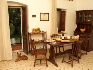米斯泰尔比安科Agriturismo Ruvitello的一间用餐室,配有桌子和一只狗,位于地板上