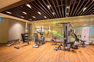 新加坡二号航站楼大使过境休息室酒店的健身房设有数台跑步机和健身自行车
