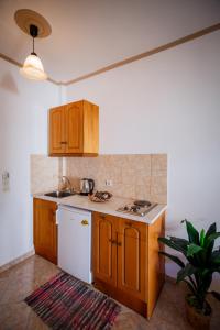 阿里克斯Vivi's Studios的厨房配有木制橱柜和白色炉灶烤箱。