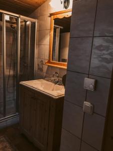 PramaKuhlinarik Apartment的一间带水槽和淋浴的浴室