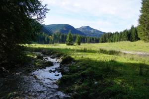 阿亨基希Guffertblick的树木和山脉林地中的溪流