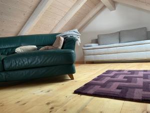 泰哈姆山麓弗拉德尼茨Teichalm Lodge Landhaus的客厅配有绿色沙发和地毯。