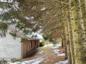 泰哈姆山麓弗拉德尼茨Teichalm Lodge Landhaus的森林中的小屋,地面上积雪