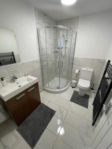 北安普敦Modern, Stylish Studio Apartment in Central Northampton的带淋浴、卫生间和盥洗盆的浴室