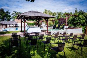 洛约什米热Liza Aqua & Conference Hotel的一群桌子和椅子在游泳池附近的草地上