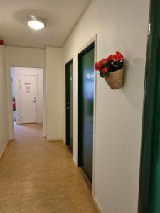 谢夫灵厄Torget Vandrarhem的墙上挂着一篮鲜花的走廊