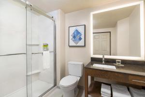 默里迪恩博伊西梅利迪安烛木套房酒店的带淋浴、卫生间和盥洗盆的浴室