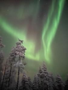锡尔卡Levi Sensu - Levi Sky Igloos的天空中一片白雪覆盖的森林