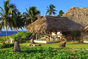 拉斯加勒拉斯Villa Punta Coral的拥有茅草屋顶和海洋的度假胜地