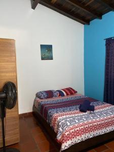 圣希尔Finca el Paraíso的一间设有一张床铺的卧室,位于一间蓝色墙壁的房间
